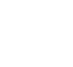 Winsor & Newton