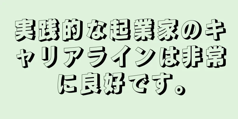 実践的な起業家のキャリアラインは非常に良好です。