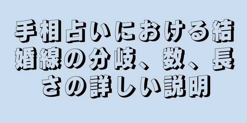 手相占いにおける結婚線の分岐、数、長さの詳しい説明