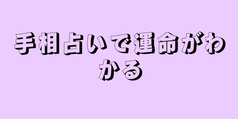 手相占いで運命がわかる