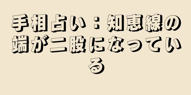 手相占い：知恵線の端が二股になっている