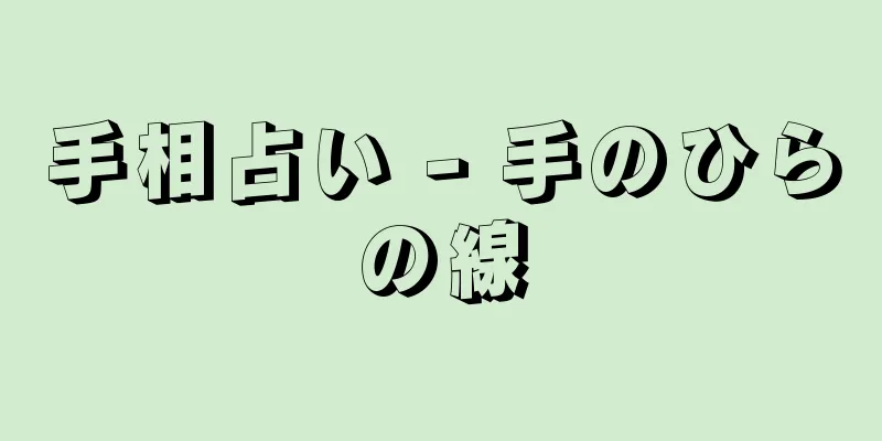 手相占い - 手のひらの線