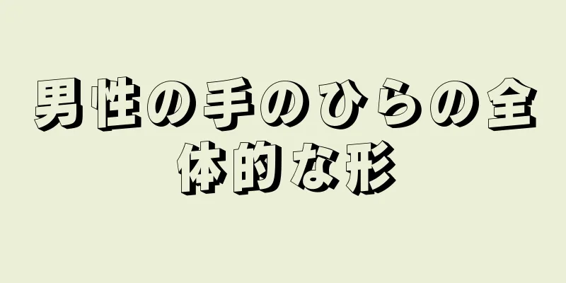 男性の手のひらの全体的な形