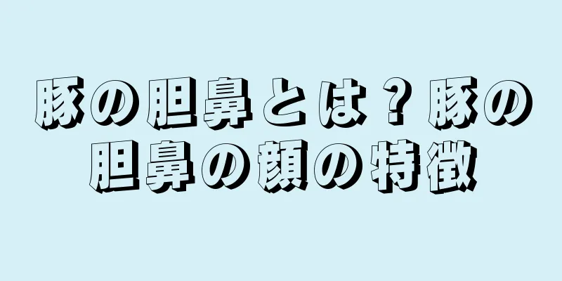 豚の胆鼻とは？豚の胆鼻の顔の特徴