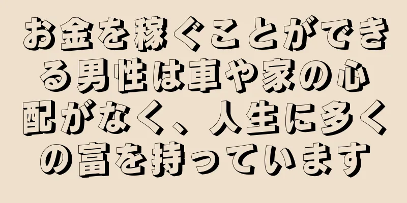 お金を稼ぐことができる男性は車や家の心配がなく、人生に多くの富を持っています