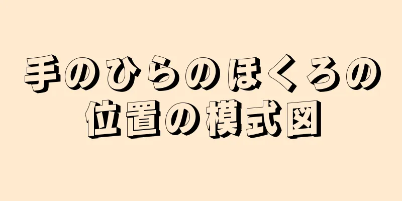 手のひらのほくろの位置の模式図