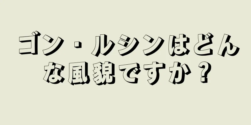 ゴン・ルシンはどんな風貌ですか？