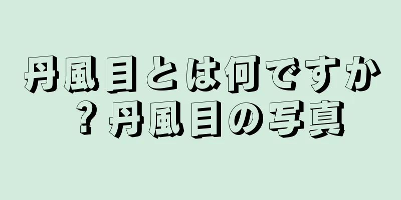 丹風目とは何ですか？丹風目の写真