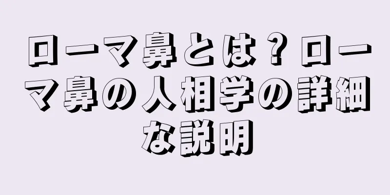 ローマ鼻とは？ローマ鼻の人相学の詳細な説明