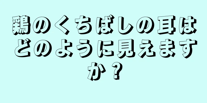 鶏のくちばしの耳はどのように見えますか？