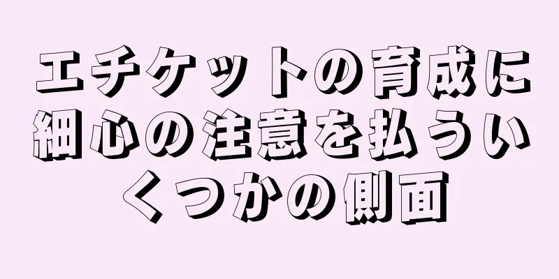 エチケットの育成に細心の注意を払ういくつかの側面