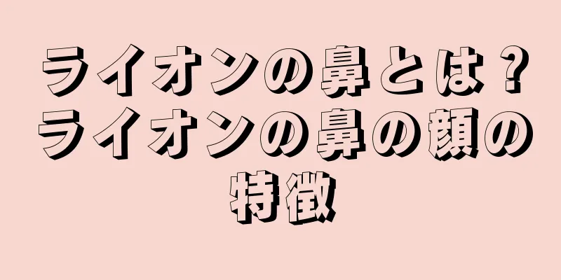 ライオンの鼻とは？ライオンの鼻の顔の特徴