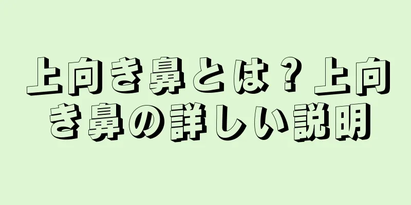 上向き鼻とは？上向き鼻の詳しい説明