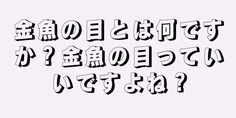 金魚の目とは何ですか？金魚の目っていいですよね？