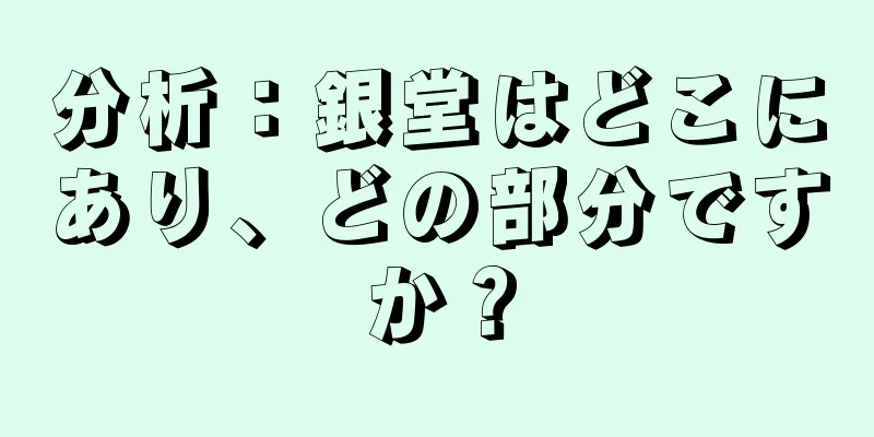 分析：銀堂はどこにあり、どの部分ですか？