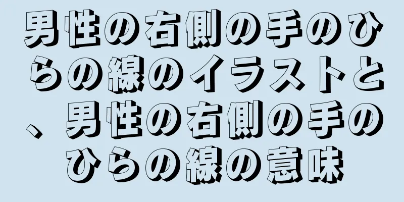 男性の右側の手のひらの線のイラストと、男性の右側の手のひらの線の意味