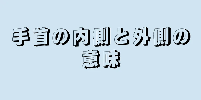 手首の内側と外側の意味