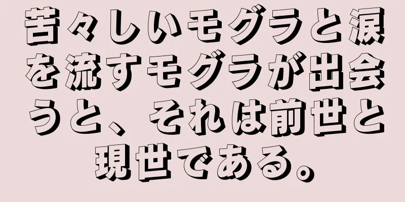 苦々しいモグラと涙を流すモグラが出会うと、それは前世と現世である。