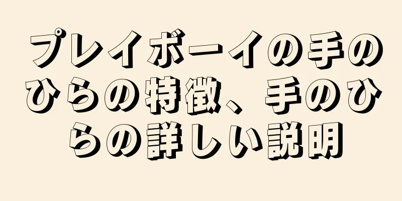 プレイボーイの手のひらの特徴、手のひらの詳しい説明