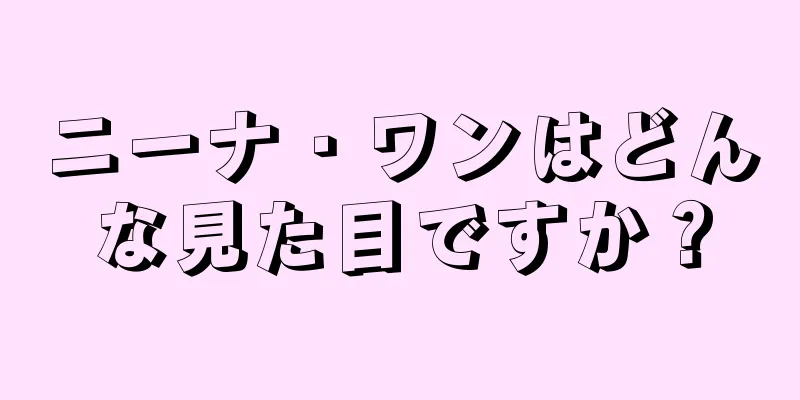 ニーナ・ワンはどんな見た目ですか？