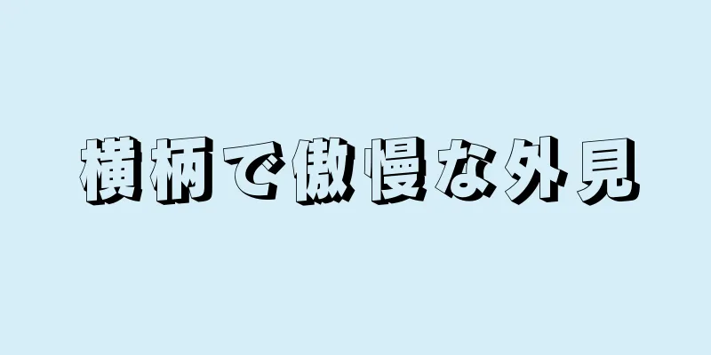 横柄で傲慢な外見