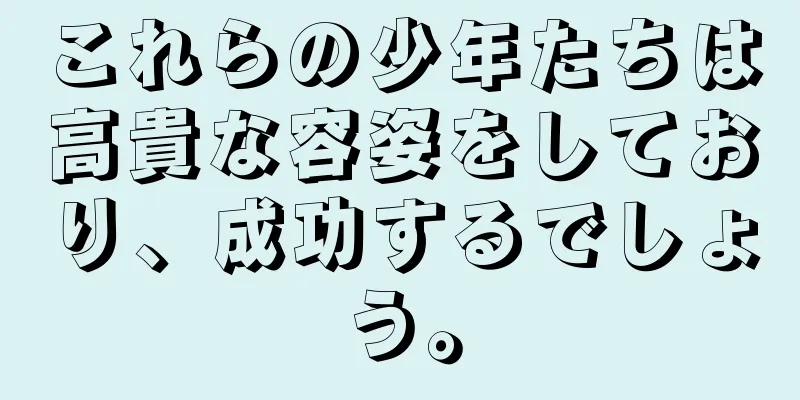 これらの少年たちは高貴な容姿をしており、成功するでしょう。