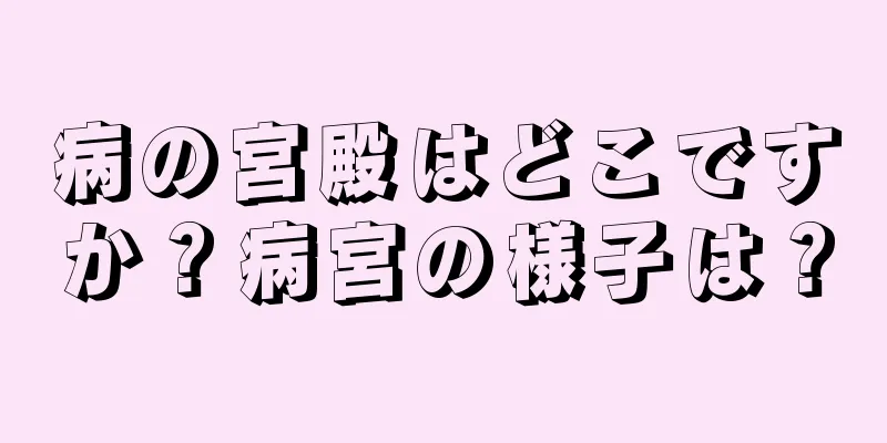 病の宮殿はどこですか？病宮の様子は？