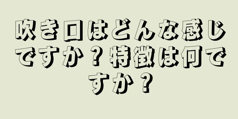 吹き口はどんな感じですか？特徴は何ですか？