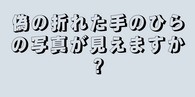 偽の折れた手のひらの写真が見えますか?