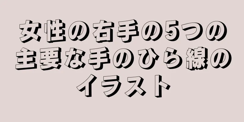 女性の右手の5つの主要な手のひら線のイラスト