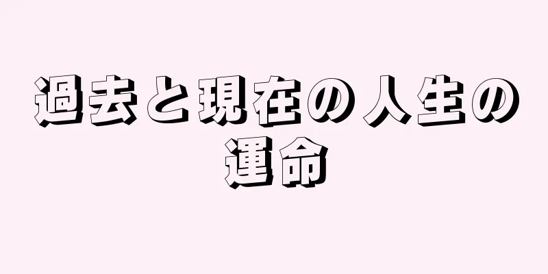 過去と現在の人生の運命