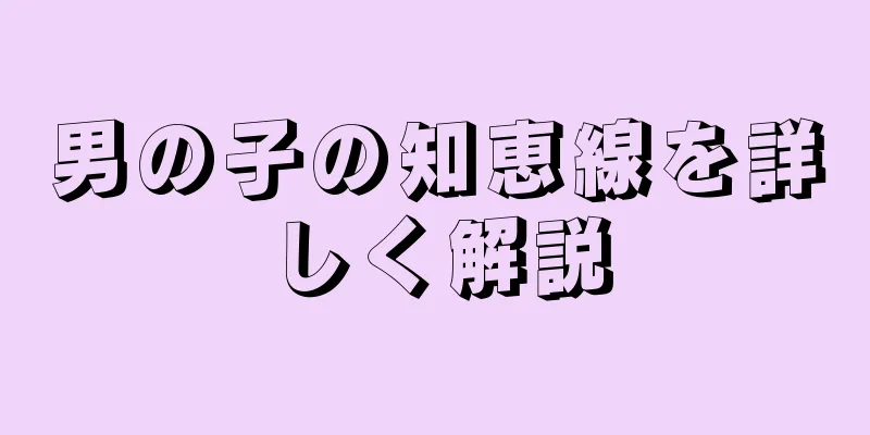 男の子の知恵線を詳しく解説