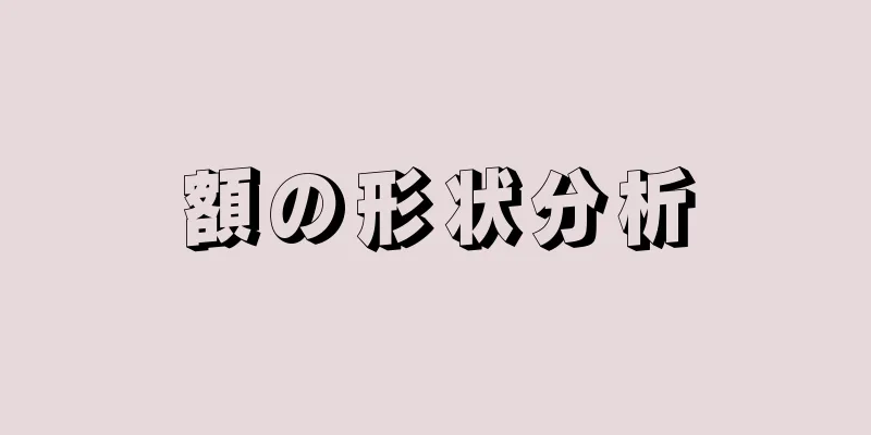 額の形状分析