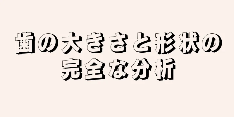 歯の大きさと形状の完全な分析