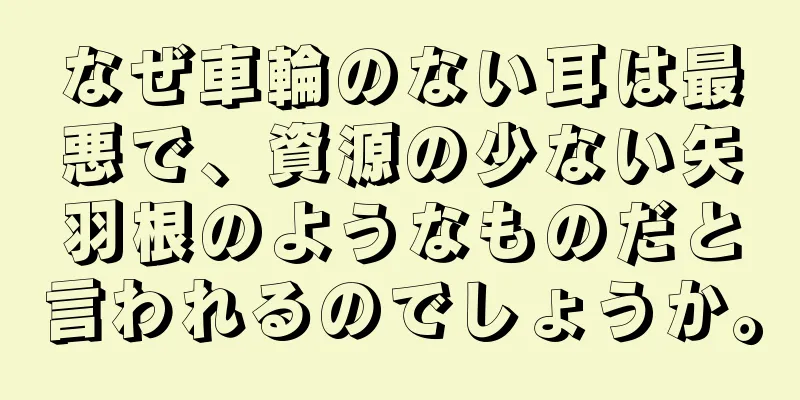 なぜ車輪のない耳は最悪で、資源の少ない矢羽根のようなものだと言われるのでしょうか。