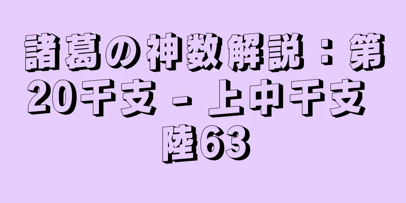 諸葛の神数解説：第20干支 - 上中干支 陸63