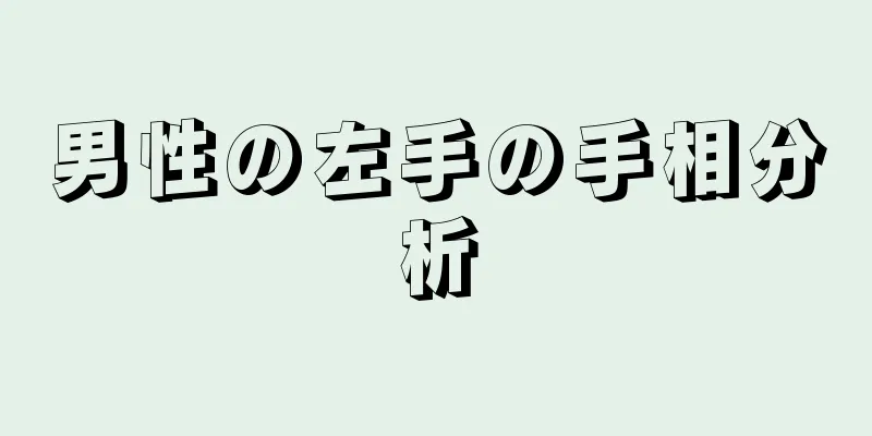 男性の左手の手相分析