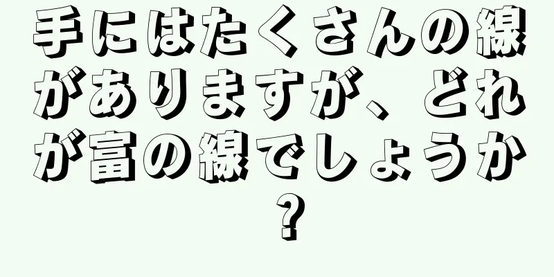 手にはたくさんの線がありますが、どれが富の線でしょうか？