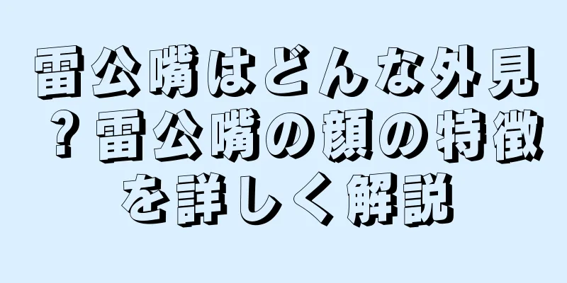 雷公嘴はどんな外見？雷公嘴の顔の特徴を詳しく解説