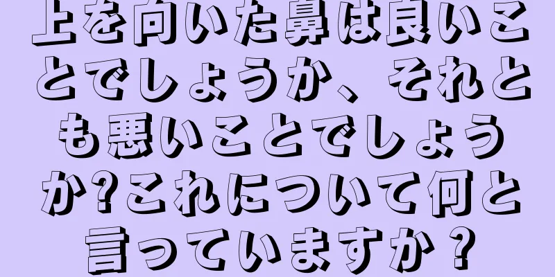 上を向いた鼻は良いことでしょうか、それとも悪いことでしょうか?これについて何と言っていますか？