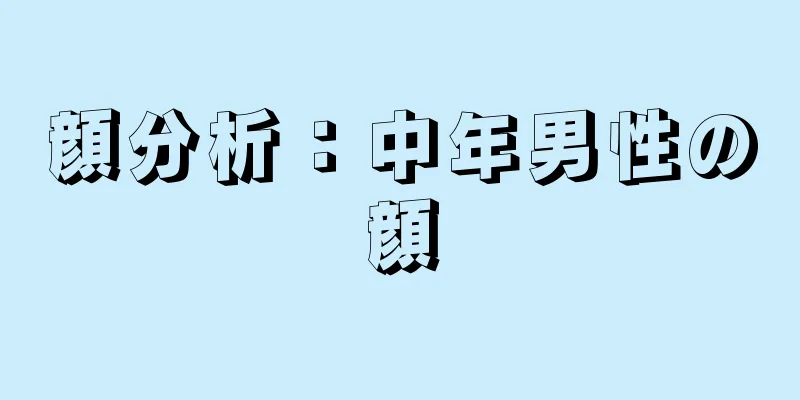 顔分析：中年男性の顔