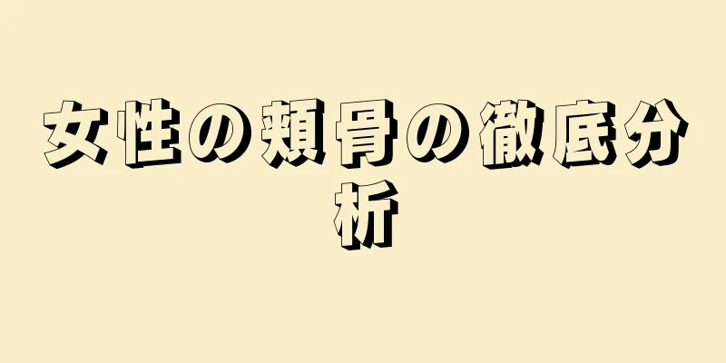 女性の頬骨の徹底分析