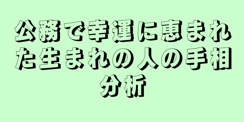 公務で幸運に恵まれた生まれの人の手相分析