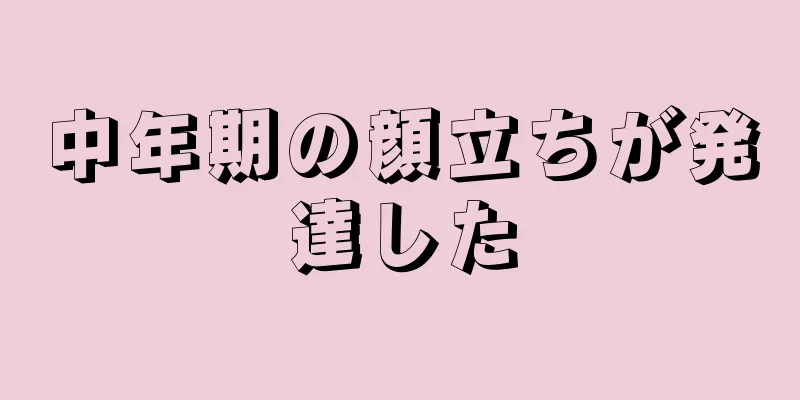 中年期の顔立ちが発達した