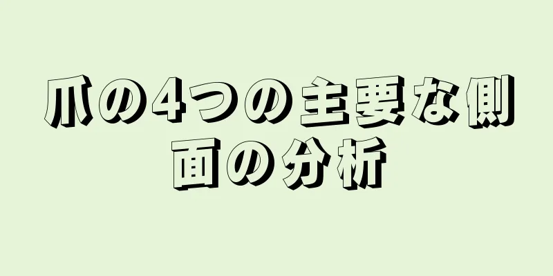 爪の4つの主要な側面の分析