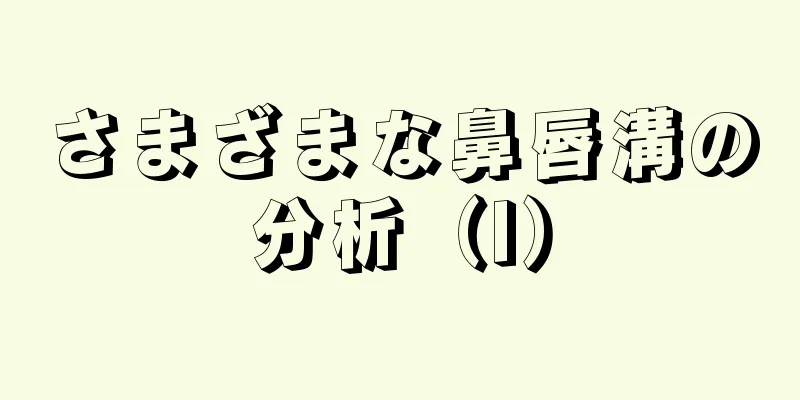 さまざまな鼻唇溝の分析（I）