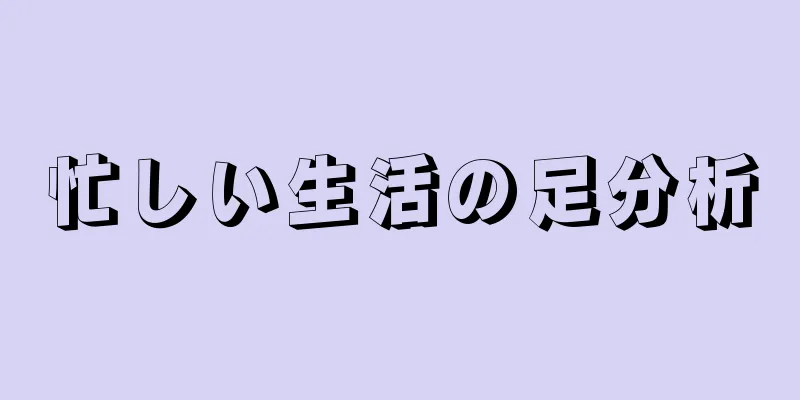 忙しい生活の足分析