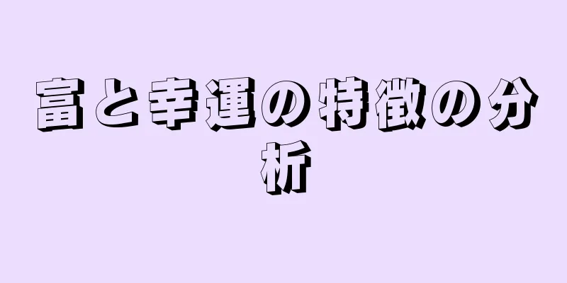 富と幸運の特徴の分析