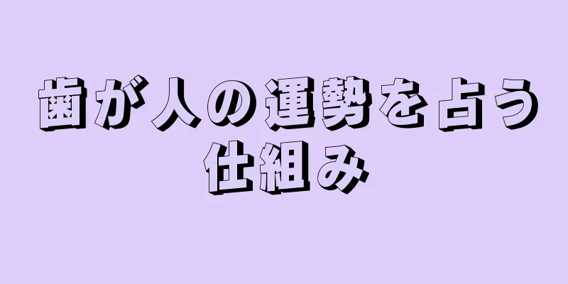 歯が人の運勢を占う仕組み