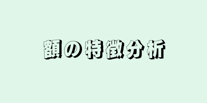 額の特徴分析